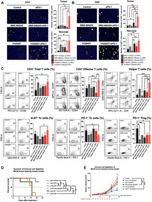 YH29407 with anti-PD-1 ameliorates anti-tumor effects via increased T cell functionality and antigen presenting machinery in the tumor microenvironment